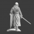 Medieval Danish Knight - Esbern the Resolute image
