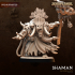 Shaman - Dark Gods Scraplandz image