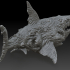 Shark - Demon image