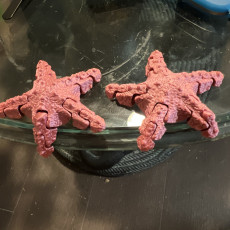 Picture of print of Articulated Starfish