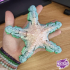 Articulated Starfish image