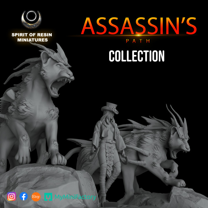 Assassin's Path Collection's Cover