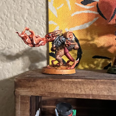 Picture of print of Kobold Druid
