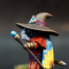 Picture of print of Guinea Wizard