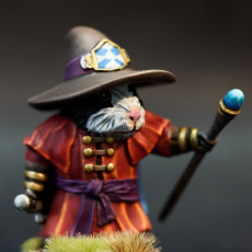 Picture of print of Guinea Wizard