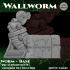 Wall Worm image