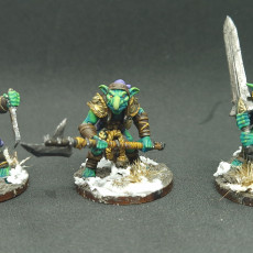 Picture of print of Faldorn Goblins (Complete Set - 46)