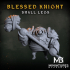 Blessed Small Legs Knight image