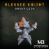 Blessed Sharp Legs Knight image