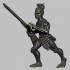 Māori Warriors image
