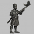 Māori Warriors image