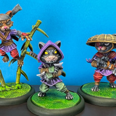 Picture of print of Ninja Cats Release
