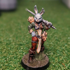 Picture of print of Female Rabbitfolk Mage Fighter