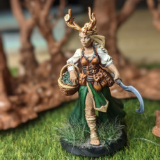 Picture of print of Female Druid of the forest