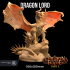 Dragon Lord - Tevrond, The Devastator | PRESUPPORTED | Dragons of The Lodge | Children of the Flame Part 3 image