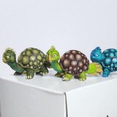 Picture of print of Baby Kyoka Turtles