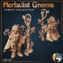 Herbalist Gnome image