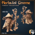 Herbalist Gnome image