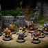 [FEBRUARY 2023 RELEASE]  Hill dwarves warband print image