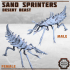 Erroish Beast Trainer and Sand Sprinters image