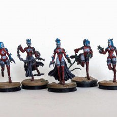 Picture of print of Witches of the Alves Night Raiders