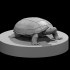 Clockwork Turtle image