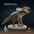 Protoceratops andrewsi : The Ancient Ceratopsian image