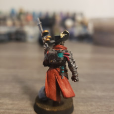 Picture of print of Scarlet Crusade Sniper