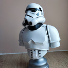Picture of print of stormtrooper