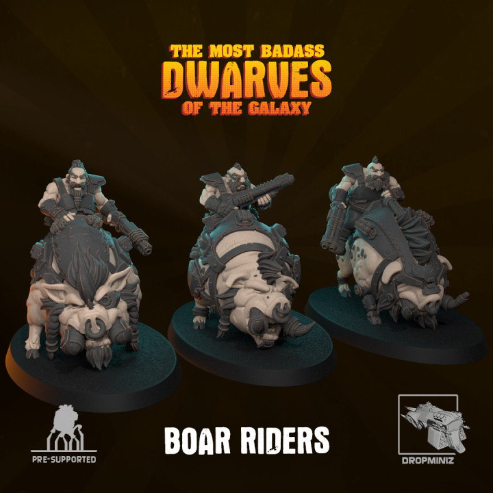 Sci-Fi Dwarf Boar Riders's Cover