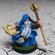 Picture of print of Dwarven wizard [PRE-SUPPORTED]