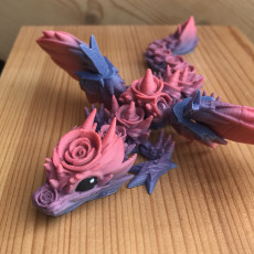 Picture of print of Baby Rosewing Dragon