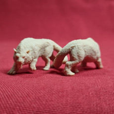 Picture of print of Crag Cat - Tabletop Miniature (Pre-Supported)