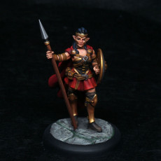 Picture of print of Amazon elf warrior [PRE-SUPPORTED]