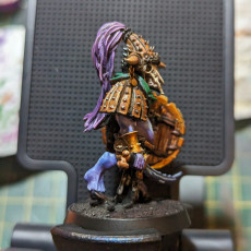 Picture of print of Chaos Beastman Champion