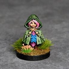 Picture of print of Gnome Priest