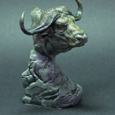 Picture of print of Cape Buffalo Bust