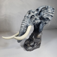 Picture of print of African Bush Elephant Bust