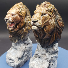 Picture of print of Lion Bust