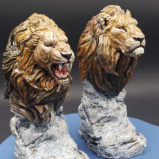 Picture of print of Lion Roar Bust