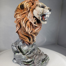 Picture of print of Lion Roar Bust