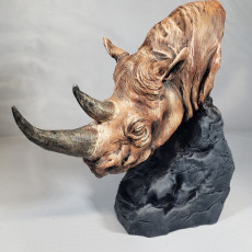 Picture of print of Black Rhino Bust