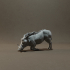 Common Warthog Kneel image