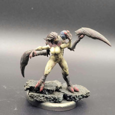 Picture of print of Hive Assassin