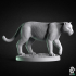 Panther - Animal image