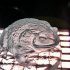 Toad - Animal print image