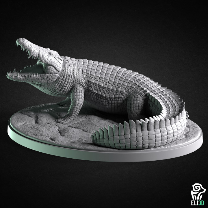 Crocodile - Animal's Cover