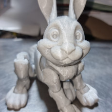 Picture of print of Bunny Rabbit Articulated figure, Print-In-Place, Cute Flexi