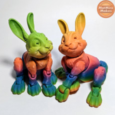 Picture of print of Bunny Rabbit Articulated figure, Print-In-Place, Cute Flexi