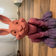 Picture of print of Bunny Rabbit Articulated figure, Print-In-Place, Cute Flexi Cet objet imprimé a été téléchargé par Will